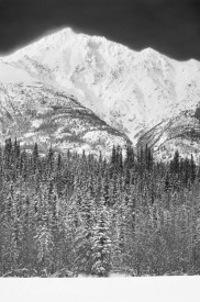 Black and white photo of an unnamed peak, in winter snow, and boreal forest, wintertime, near the Lakina River, Wrangell - St. Elias National Park, Alaska.