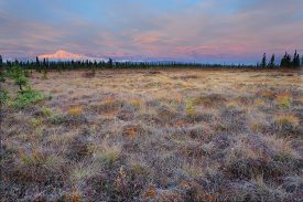Sunrise over Mount Sanford, Wrangell - St. Elias National Park and Preserve, Alaska.
