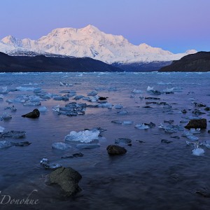 Mount Saint Elias glows in the soft after dusk alpenglow of the winter sky. Icy Bay in the foreground is littered with scattered icebergs, remnants from the many glaciers in the area. Mount Saint Elias and Icy Bay, Wrangell-St. Elias National Park and Preserve, Alaska.