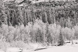 Jack Creek, near Nabesna, winter photo, Wrangell St. Elias National Park, Alaska.