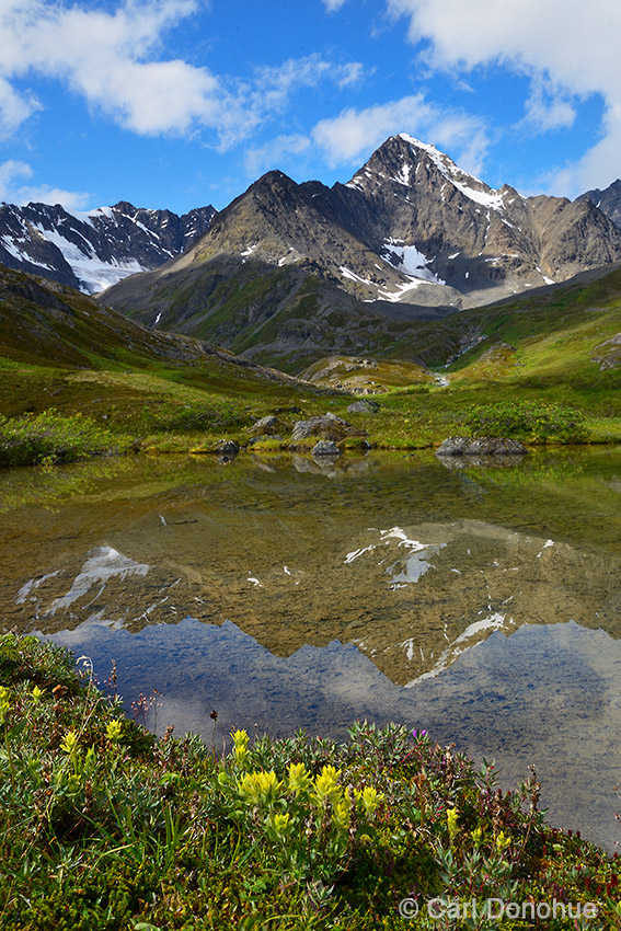 The Chugach mountains of the upper Klu River, in Wrangell-St. Elias National Park and Preserve.