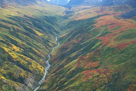 Fall colors in Wrangell-St. Elias National Park, Alaska.
