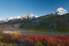Dwarf Birch and fall colors, Ross Green Lake, Thompson Ridge, Wrangell St. Elias National Park, Alaska.