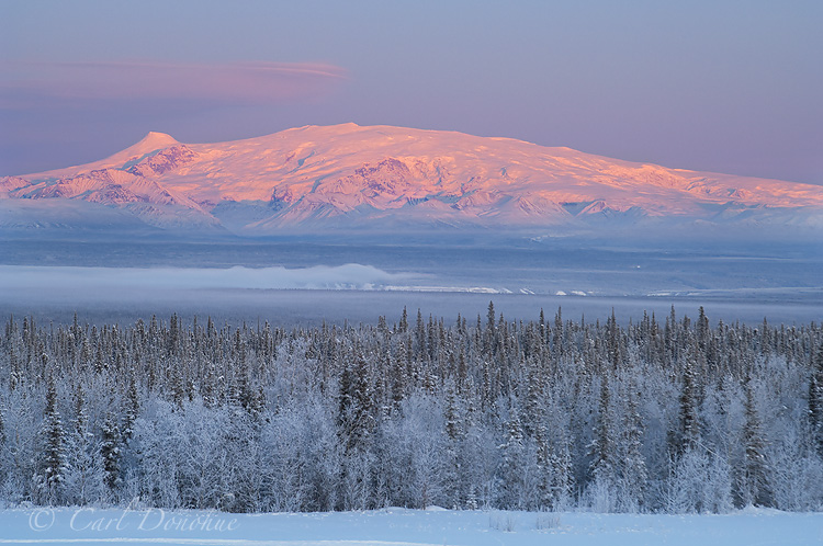 Photo of Mount Wrangell and Mount Zanetti, of the Wrangell Mountains. In winter the the mountains catch wonderful soft alpenglow, and the resulting colors are quite a sight. The snow covered trees of the frozen boreal forest add to the mood. Mount Wrangell, Mount Zanetti, over the Copper River Basin, Wrangell-St. Elias National Park and Preserve, Alaska.