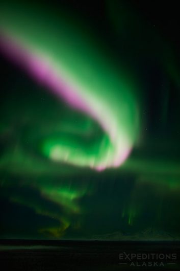 The northern lights soar over Mt Drum and the Wrangell mountains.