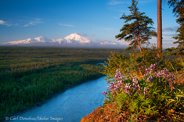 A view of the Wrangell mountains and the Copper River, from Simpson Hill near Glennallen, Alaska.