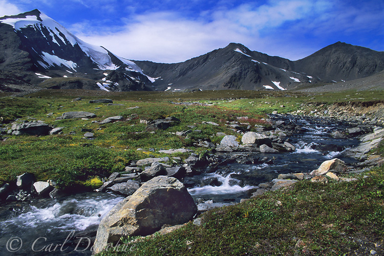 A small fast stream runs through this high alpine valley in the Chugach Mountains, Wrangell-St. Elias National Park, Alaska.