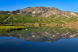 Unnamed peak, stream and Moss Campion in the eastern Chugach Mountains, Wrangell St. Elias National Park, Alaska.